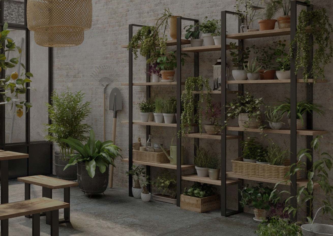 Libreria-Botanic-ritaglio-min2
